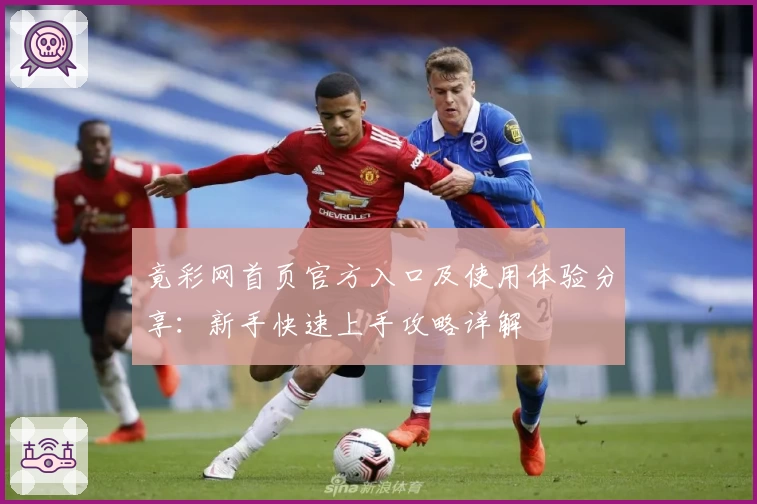 竟彩网首页官方入口及使用体验分享：新手快速上手攻略详解