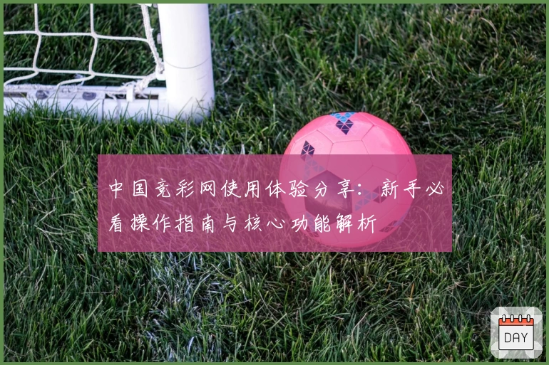中国竞彩网使用体验分享：新手必看操作指南与核心功能解析