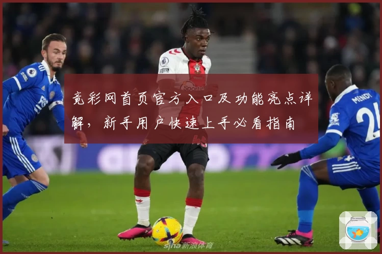 竟彩网首页官方入口及功能亮点详解，新手用户快速上手必看指南